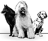 3 dog logo