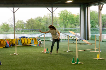 Agility in the evening