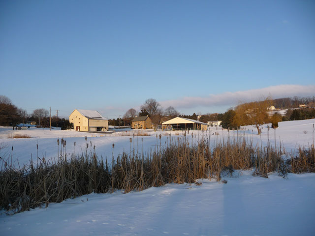 From below the pond