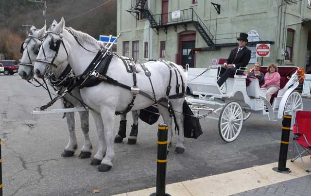 Carriage ride.