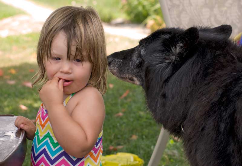 Acacia sniffs Cyan