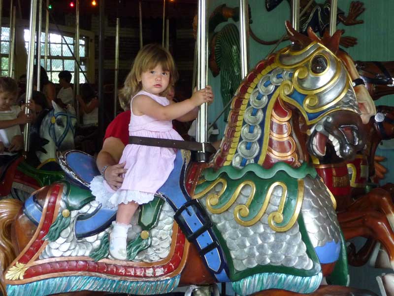 Central Park NY carousel