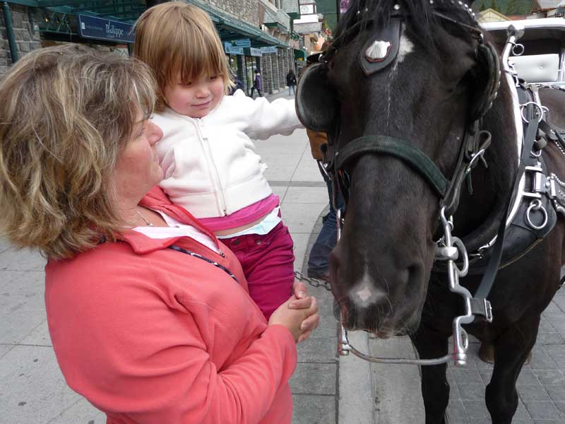 Cyan sees a horse in Banff Canada