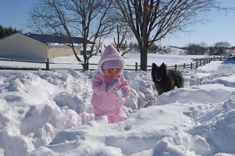 Cyan and Bing in 2 feet of snow