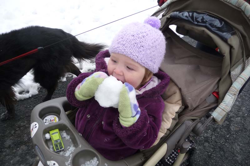 Eating Snow at Trexler Park