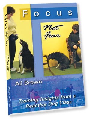 Cover Image of Focus, Not Fear book