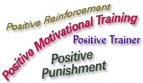 Positive Phrases