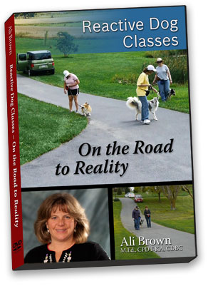 Cover Image of Reactive Dog Classes DVD