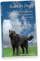 Scaredy Dog! book cover image