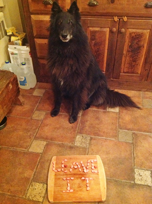 image: bing's leave-it with a cutting board full of hot dogs