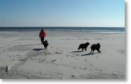 Bing and Acacia play on Diamond Beach in Wildwood Crest on a very windy day in December.