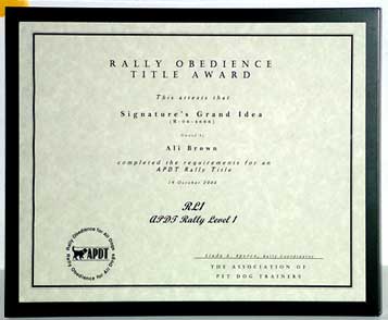 Bing's level 1 Rally Obedience award