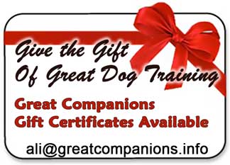 Get a Great Companions dog training gift certificate ali@greatcompanions.info