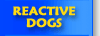 Reactive Dog Training, Our Speciality